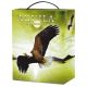 Aguila Spanien Airen Weißwein BiB 12% vol 300cl 