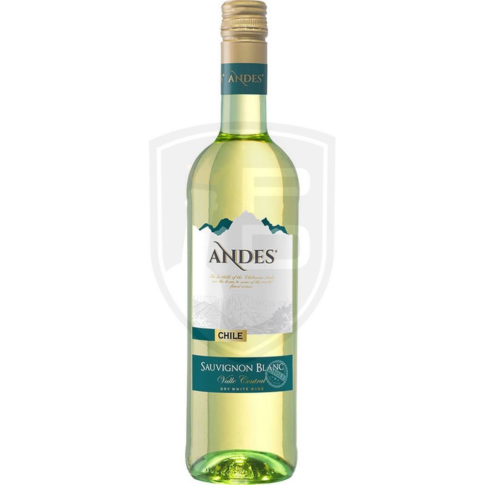 Andes Sauvignon Blanc Weisswein Chile 13% vol 75cl
